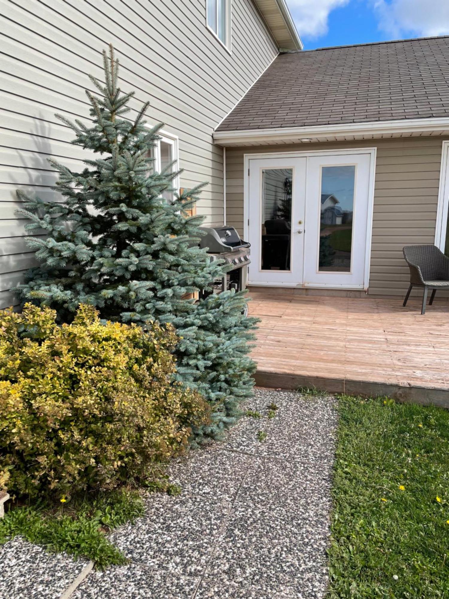 Pei Cottage Rental Borden-Carleton Екстер'єр фото